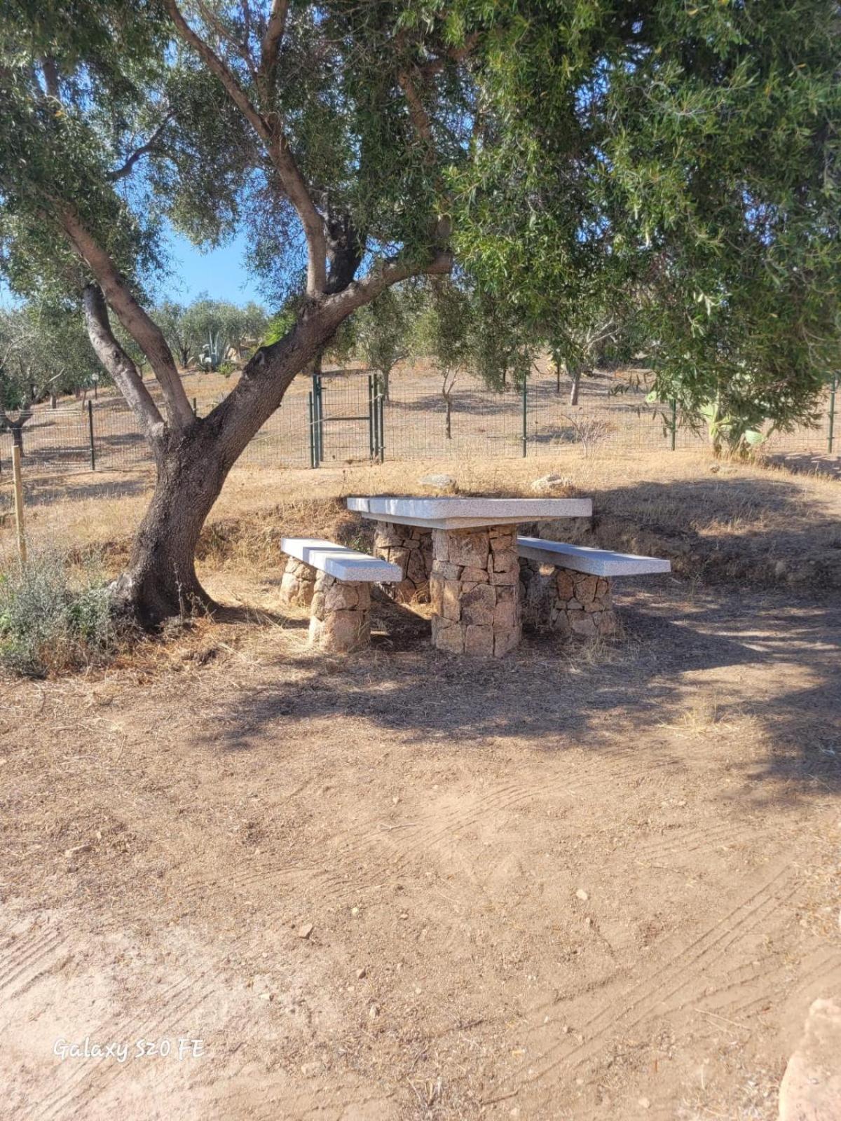 Residenza Degli Ulivi Leilighet Olbia Eksteriør bilde