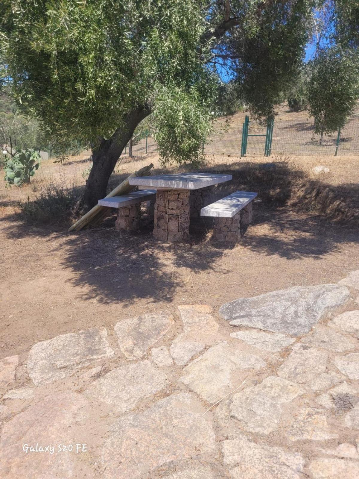 Residenza Degli Ulivi Leilighet Olbia Eksteriør bilde