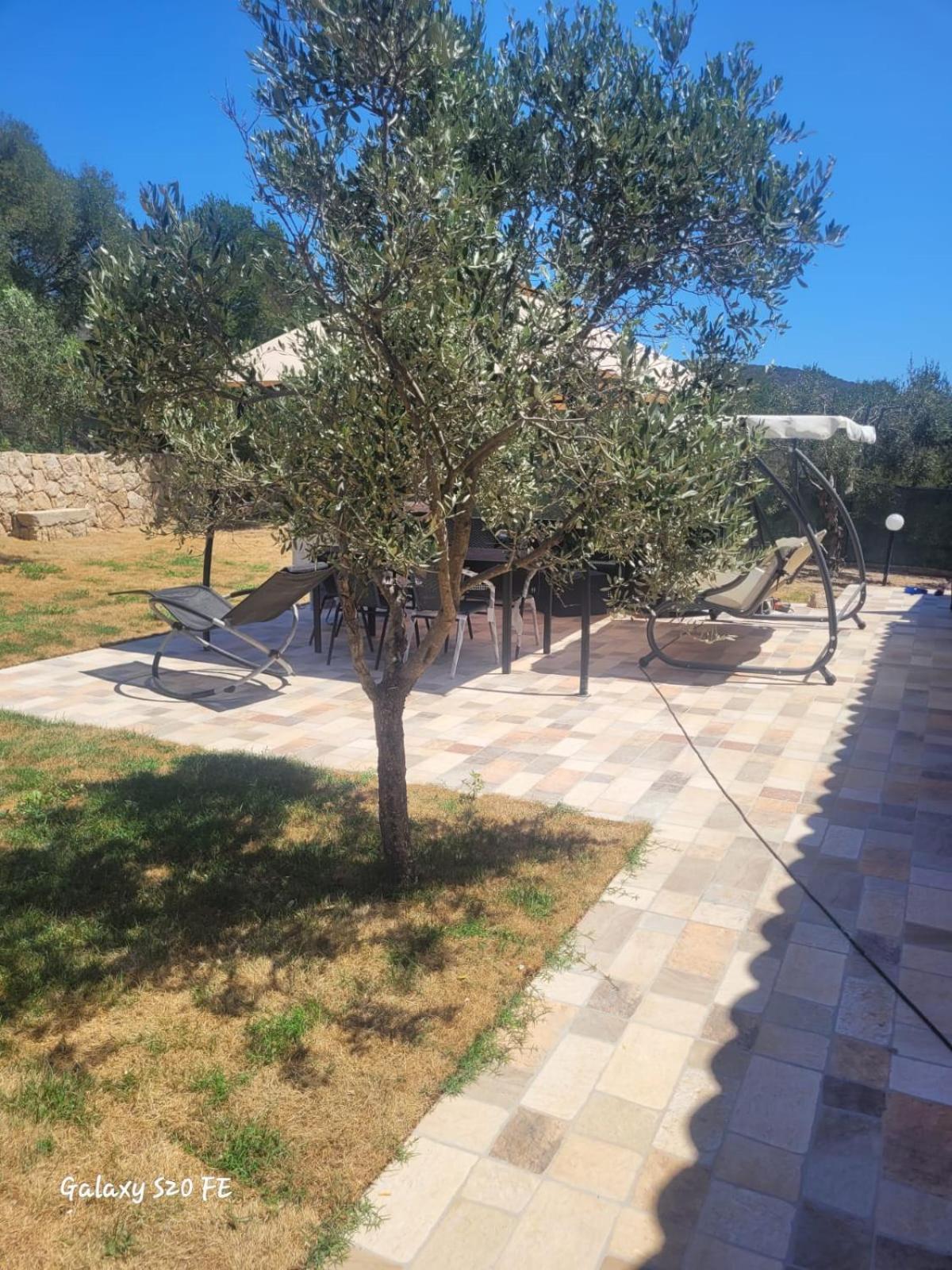 Residenza Degli Ulivi Leilighet Olbia Eksteriør bilde